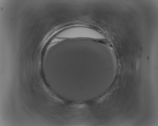 X0000081490247200702100037