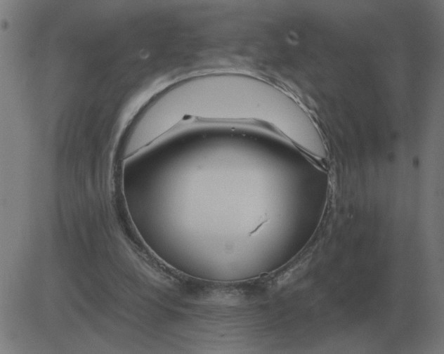 X0000081490248200702100037