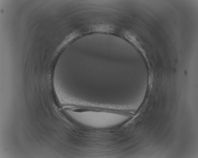 X0000081490249200702100037