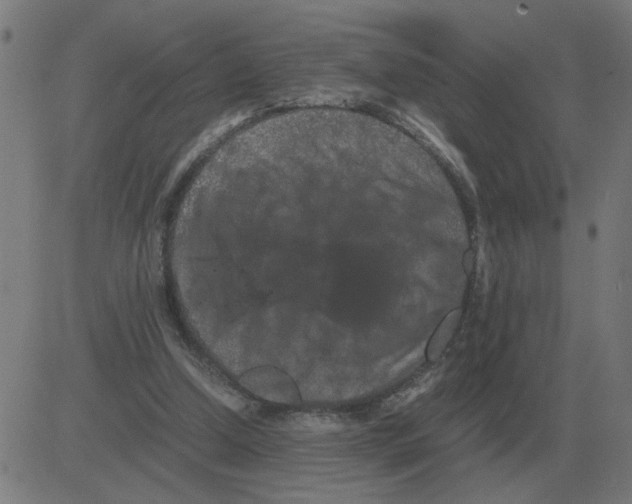 X0000081490250200702100037