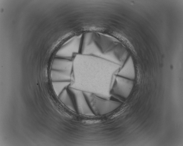 X0000081490251200702100037