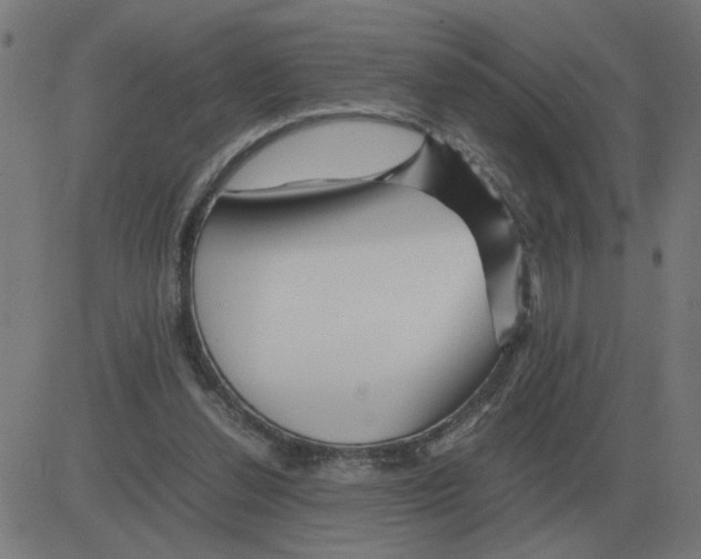 X0000081490252200702100037