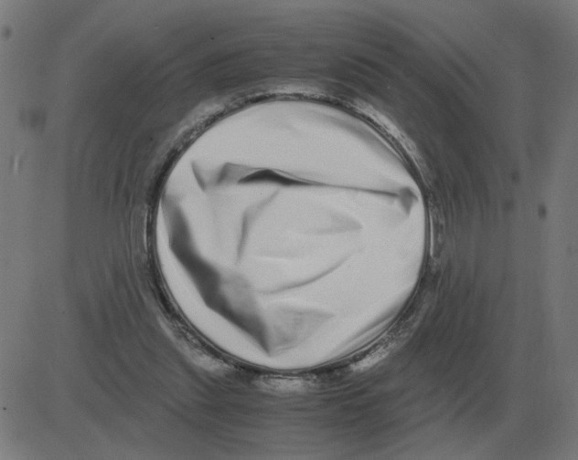 X0000081490253200702100037