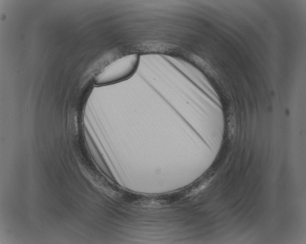 X0000081490254200702100037