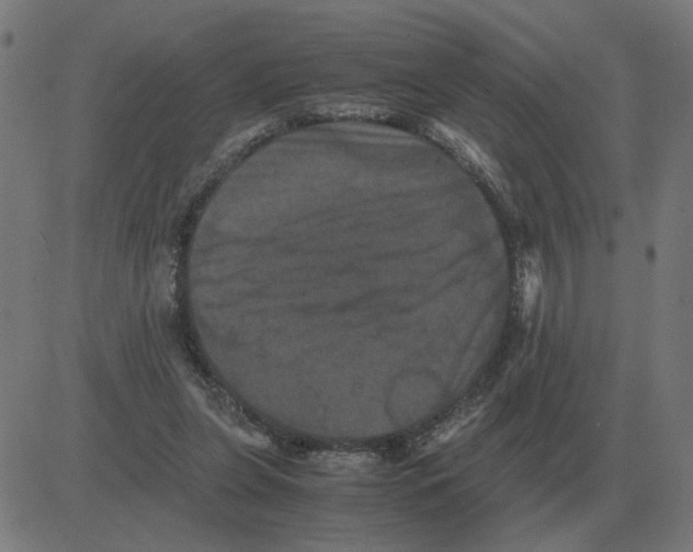 X0000081490255200702100037