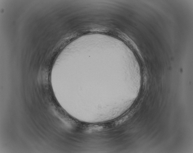 X0000081490257200702100037