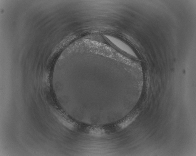 X0000081490258200702100037