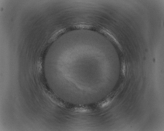 X0000081490259200702100037