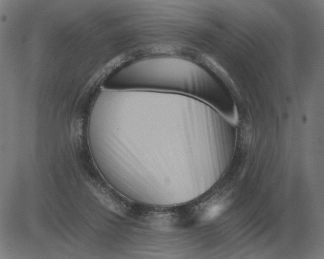 X0000081490260200702100037