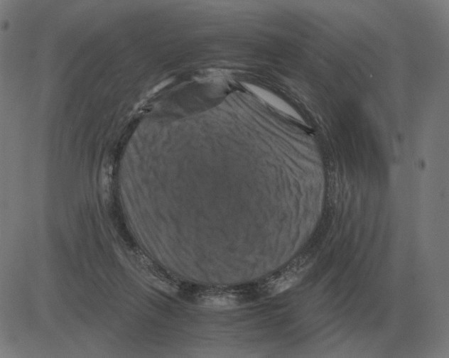 X0000081490263200702100037