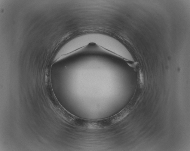 X0000081490264200702100037