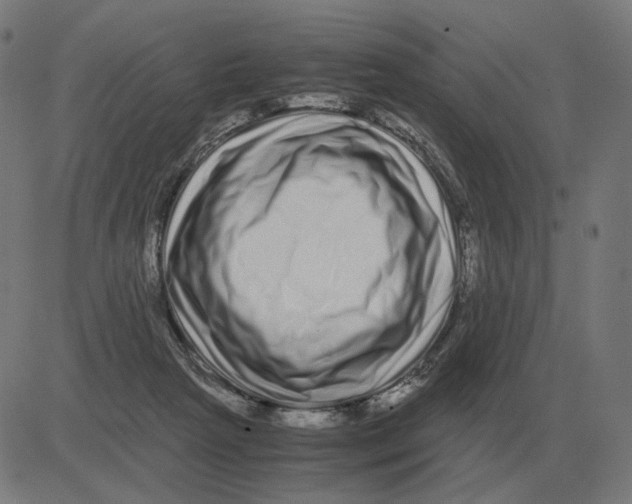 X0000081490265200702100037