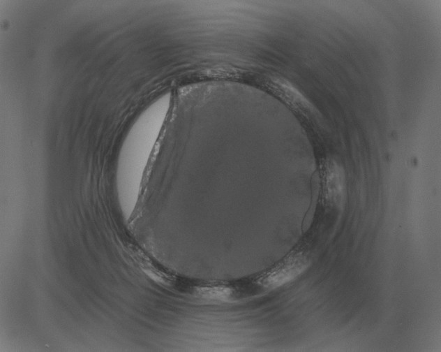 X0000081490266200702100037