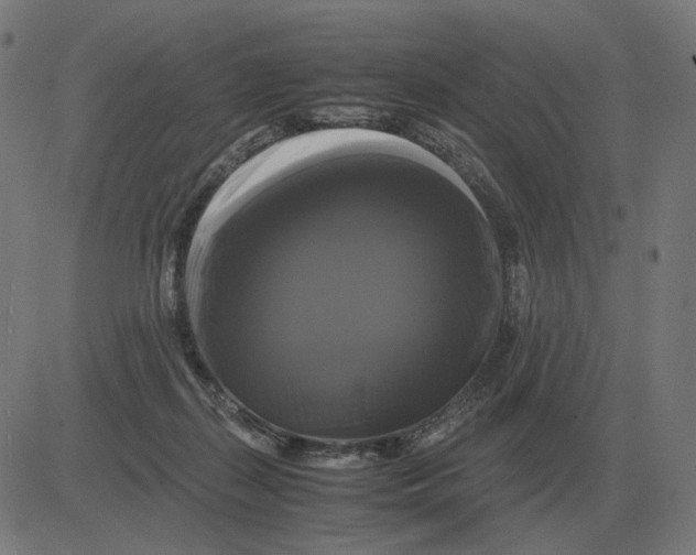 X0000081490267200702100037