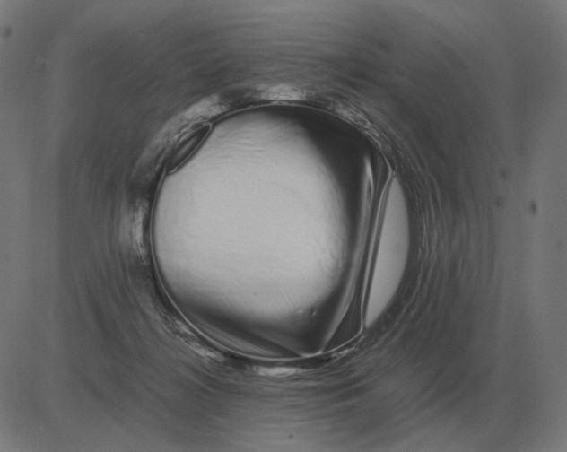 X0000081490268200702100037