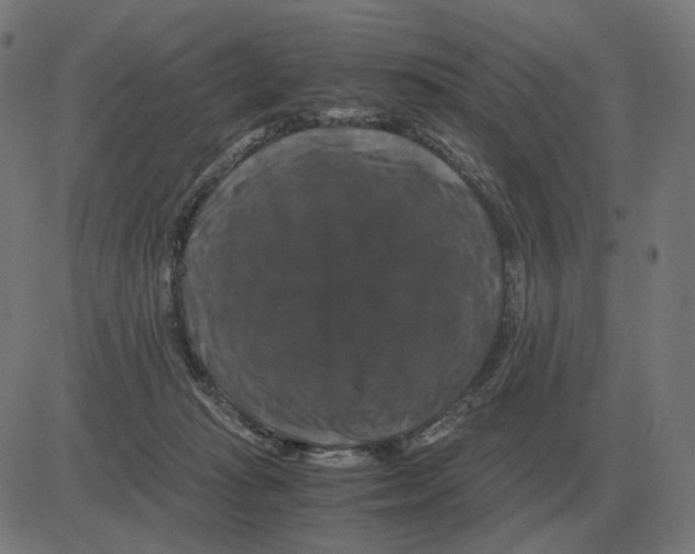 X0000081490269200702100037