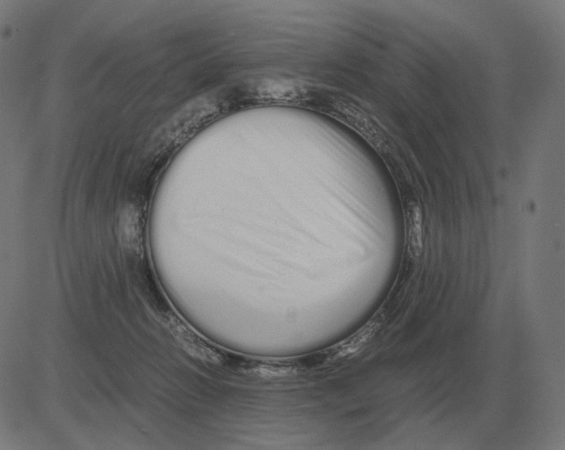 X0000081490270200702100037