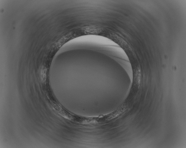 X0000081490271200702100037