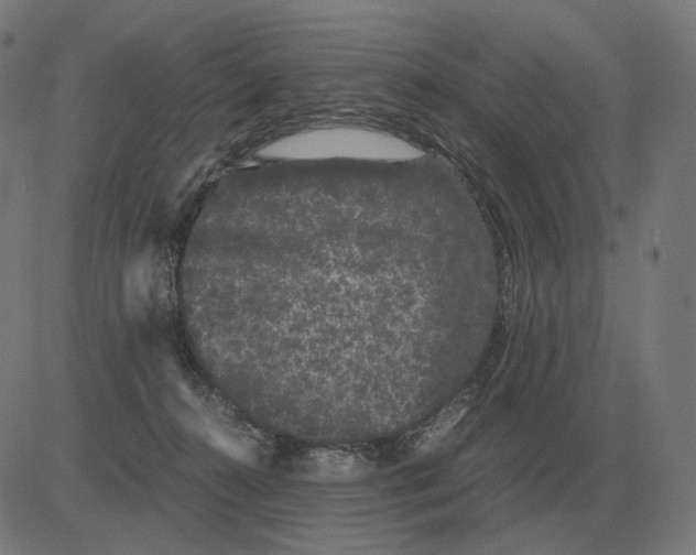 X0000081490272200702100037