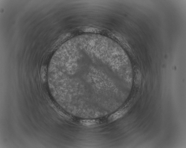 X0000081490273200702100037