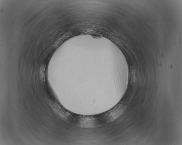 X0000081490274200702100037