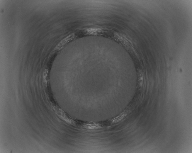 X0000081490275200702100037