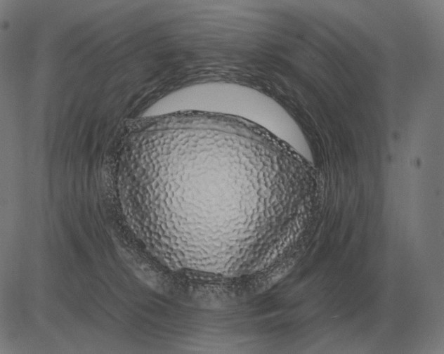 X0000081490276200702100037