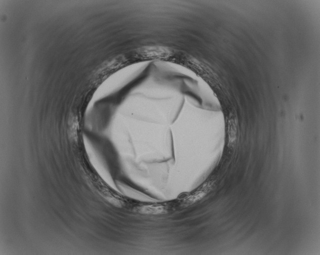 X0000081490279200702100037