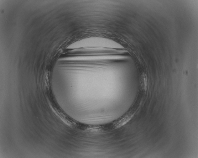 X0000081490280200702100037