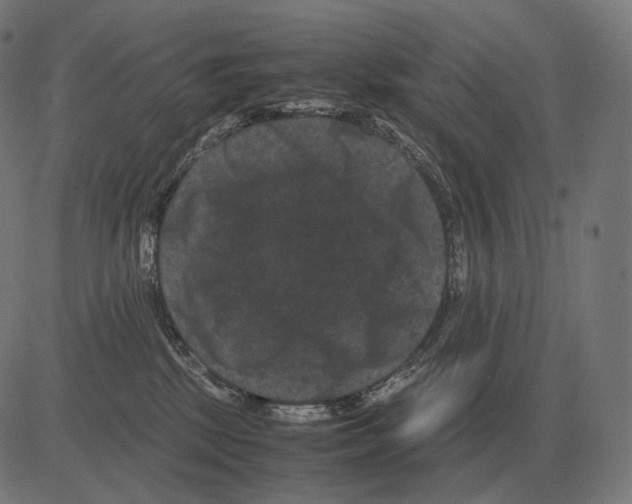 X0000081490281200702100038