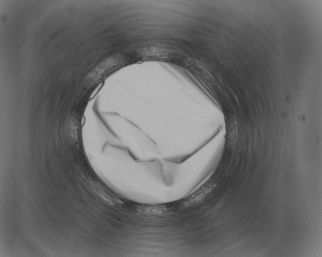 X0000081490282200702100038