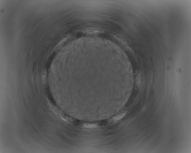 X0000081490283200702100038