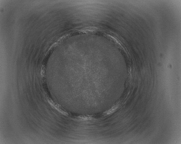 X0000081490284200702100038