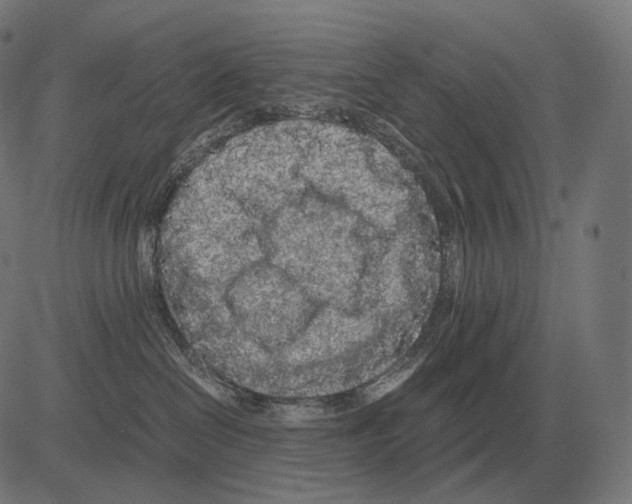 X0000081490286200702100038