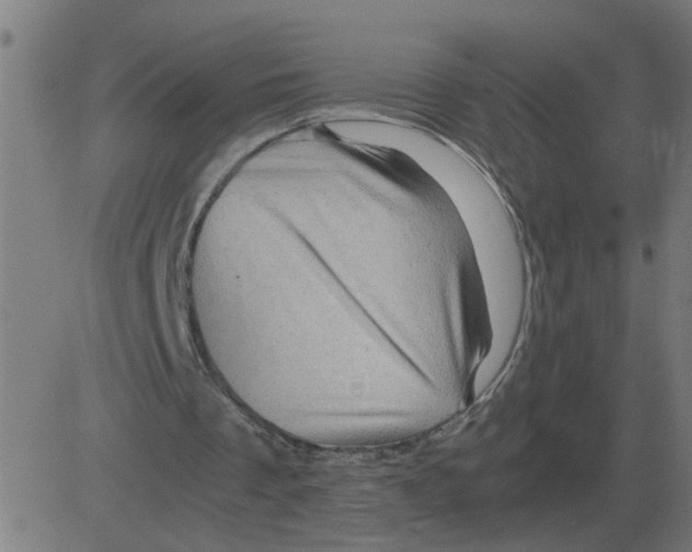 X0000081490289200702100037