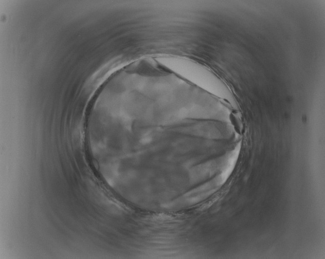 X0000081490290200702100037