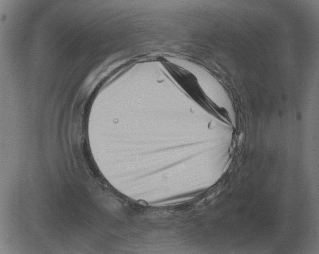 X0000081490291200702100037