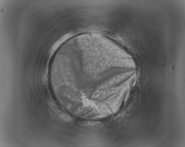 X0000081490292200702100037