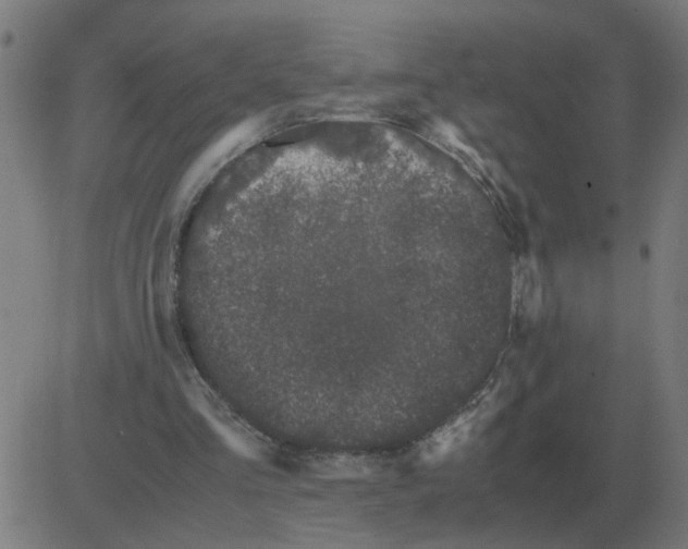 X0000081490293200702100037