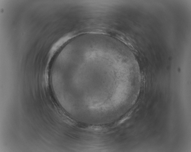 X0000081490294200702100037