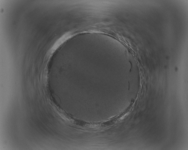 X0000081490295200702100037