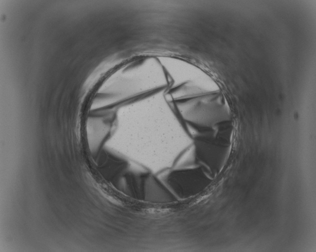 X0000081490296200702100037