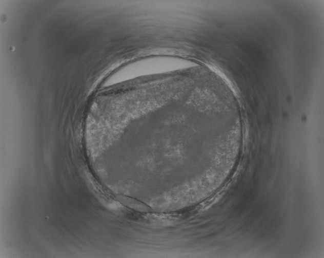 X0000081490297200702100037