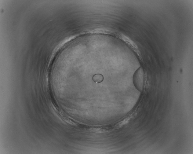 X0000081490298200702100037