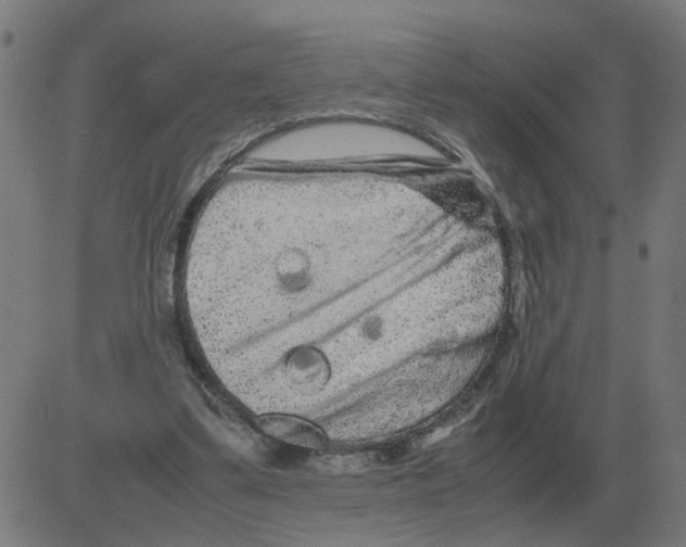 X0000081490299200702100037