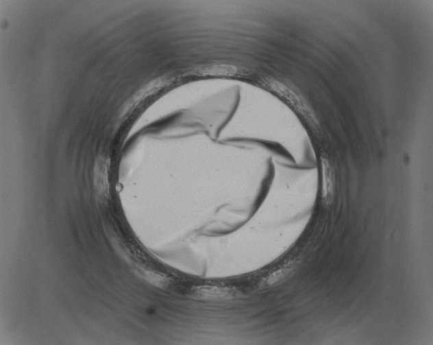 X0000081490300200702100037