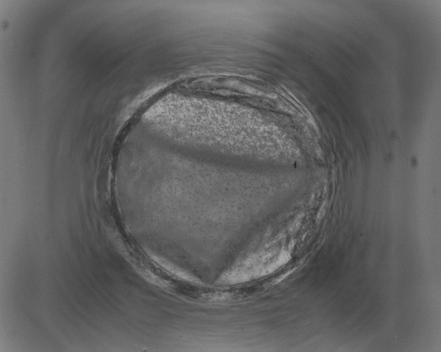 X0000081490301200702100037