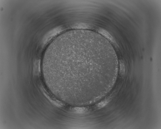 X0000081490302200702100037