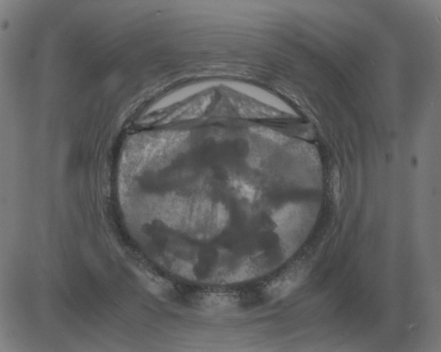 X0000081490303200702100037