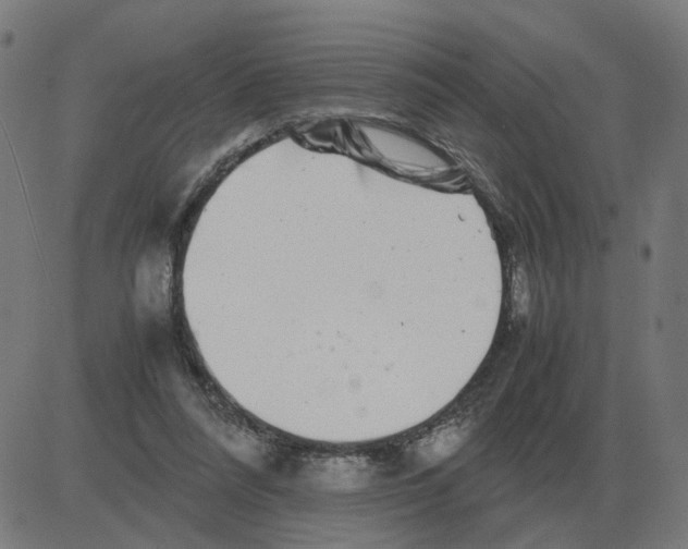 X0000081490304200702100037